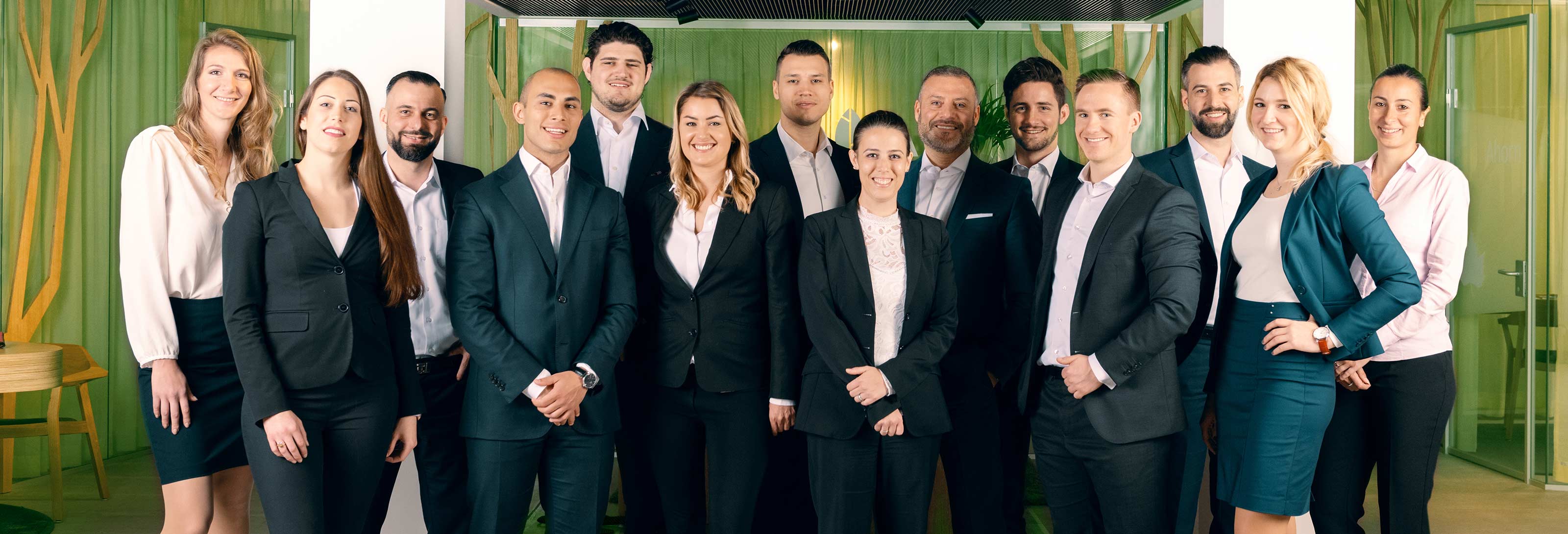 Team advisors